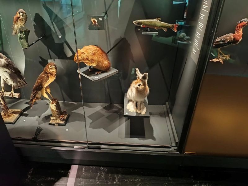 Élèves de l'école Sainte-Anne au Planétarium de Montréal
